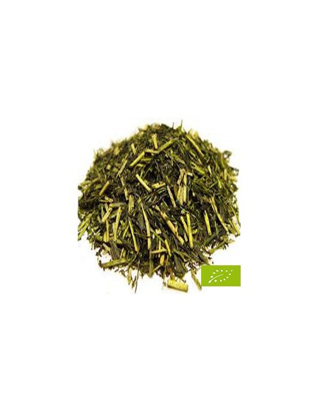 TE VERDE KUKICHA (3 Años) BIO
