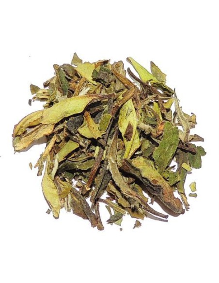 TE BLANCO PAI MU TANG