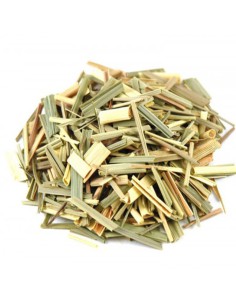 CITRONELA