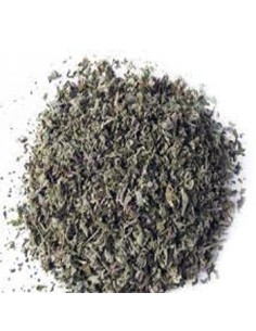 MENTA POLEO