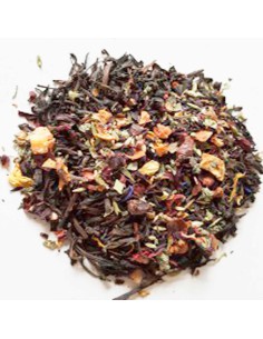TÉ ROJO MELOCOTÓN PLANTAS
