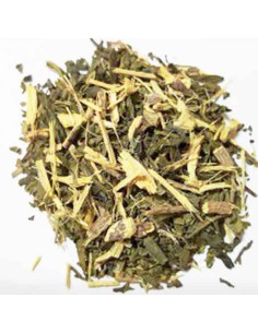 TÉ VERDE REGALIZ