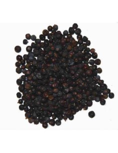 Bayas de Enebro: Aroma y Sabor Únicos. Encuentra la Mejor Calidad Aquí