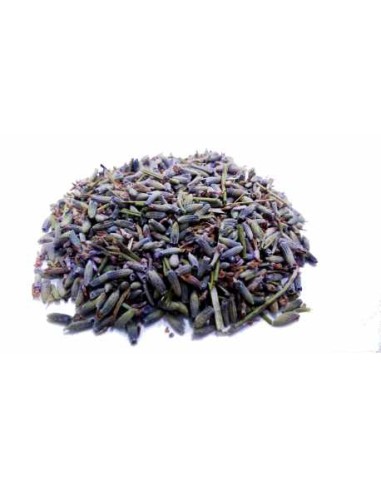Lavanda: Calma, Relajación, Propiedades y Beneficios para la Salud.