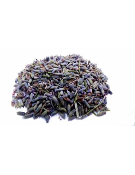 Lavanda: Calma, Relajación, Propiedades y Beneficios para la Salud.