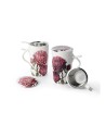 TAZA  HERBAL "PEONIA"