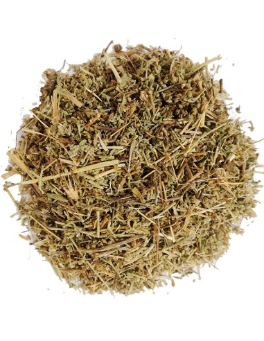 INFUSIÓN RIÑONES.  Esta planta ha sido utilizada en varias culturas para beneficio saludables.